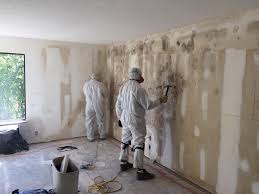 Biohazard Mold Removal in Cadiz, KY